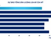 Lúa mì chịu sức ép từ nguồn cung biển đen
