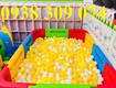 Nhà banh nhựa mầm non, nhà banh mini dành cho trẻ em 