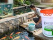 Sơn chống thấm bể cá hiệu quả: chọn đúng ngay từ đầu