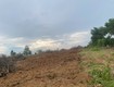 Chính chủ bán đất bắc sơn, đắk mil, lâm đồng   2,75ha, cách ql14 chỉ 400m, có...