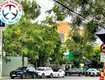 Cho thuê xe oto tự lái có lái giá tốt đà nẵng