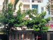 Nhà đẹp  giá tốt bán nhanh nhà lầu 115m2   mặt tiền đường 6 làn tại...