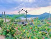 đất nghỉ dưỡng bảo lộc view đất nghỉ dưỡng bảo lộc hồ đồi thông giá...