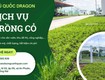 Dịch Vụ Trồng Cỏ KCN Long Đức, Long Thành, Mỹ Xuân Đồng Nai, HCM 