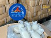 Cách chọn mực nang ngon khi mua hàng đông lạnh