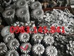 Hoa cúc dập 3 phân đến 12 phân cho từng mẫu sắt 