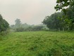 Cần bán nhanh 1.100m  đất view đẹp tại ba vì   làm homestay, second home ...