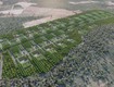 Cần bán 40 ha đất quy hoạch đất ở nông thôn   ven hồ dầu tiếng 