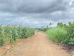 Đất hẻm gần trung tâm tân hội   lâm đồng 
