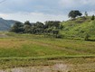 Chính chủ cần bán đất 4,6ha sổ đỏ riêng   cát tiên, lâm đồng   giá...