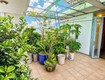 Bán nhà biệt thự    hẻm 7m, nguyễn văn khối   cây trâm , 16x22m,...