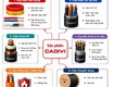 Một số lưu ý trước khi lựa chọn mua dây cáp điện cadivi