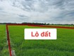 Ngộp cắt lỗ  6.000m  đất củ chi chỉ 1 triệu/m    giá chốt 6...