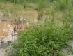 Đất đẹp   giá tốt   vị trí đắc địa gần khu công nghiệp tràng duệ...