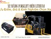 Xe nâng forklift điện lithium: ưu điểm và kinh nghiệm chọn xe