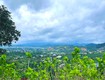 Cần Bán Đất Nam Ban 5.539m , 200m  Thổ Cư, View Toàn Cảnh Từ Trên Cao 