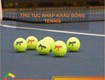 Thủ tục nhập khẩu bóng tennis