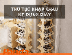 Thủ tục nhập khẩu kệ đựng giày