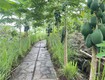 Chỉ với 3ty5 sở hữu khu vườn view sông La Ngà diện tích 3520m  . Thích hợp...