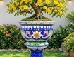 Chậu hoa   chậu cảnh   chậu hoa dán miễng , ghép sành sứ  ...