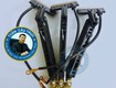 Chổi điện 3P 30A có giá bao nhiêu tiền 