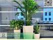Dịch vụ Chăm sóc cây xanh Văn phòng Đồng Nai 