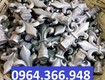 Lá mác gang trang trí khung sắt 