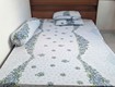 Cho thuê căn hộ mini 1 người, giờ giấc tự do, giá chỉ hơn 2tr/tháng, gần ĐH Văn...