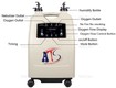 Máy tạo oxy lưu lượng 10lpm, 2 ngõ ra   Giá 11tr9 
