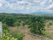 Chính chủ cần bán gấp trong tuần   lô đất 2 mặt tiền hẻm, phường 3 bảo...