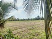 Cơ hội đầu tư giá tốt   chính chủ cần bán nhanh lô đất tại ấp tân...