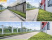 Trồng Cỏ Sân Vườn Giá Tốt ở Đồng Nai số lượng lớn 