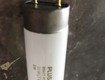 Bóng đèn thu hút côn trùng 15w pluslamp 10w 