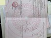Cần bán lô đất quỳnh lưu, nho quan, ninh bình   cũ . 