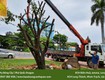 Bán Đất Màu Trồng Cây ở Đồng HCM sll 