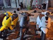 Cho thuê xe máy điện vinfast evo 50cc đà nẵng