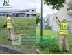 Chăm sóc cây xanh   thảm cỏ KCN Lộc An   Bình Sơn, Đồng Nai 