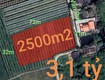 Bán lô đất lúa chuyển thổ xã vàm cỏ gần quốc lộ 50b giá 3,1...
