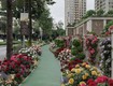 Chỉ 2,5 tỷ bỏ vốn ban đầu   Sở hữu ngay căn hộ Biệt Thự liền kề...