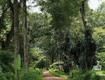 BÁN ĐẤT hơn 10.000m2  LONG KHÁNH ĐỒNG NAI chỉ 1,3ty/ sào 