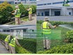 Cắt cỏ Chăm sóc Cây xanh KCN Nhơn Trạch Đồng Nai 