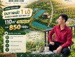 Làng omm bên đồi chè chỉ một lô khách gửi bán lại