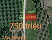 Bán thu hồi vốn lô đất thổ gần kcn phú ngãi trị giá 750 triệu 