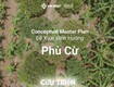 Cần bán nhanh 2 lô đất tại xã tống trân, phù cừ, hưng yên 