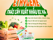 Xuất khẩu nông sản đừng bỏ quên ethylene
