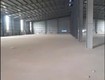 Cho thuê hệ thống kho xưởng mới   tiêu chuẩn công nghiệp tại phú minh, phú xuyên...