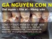 Gà Nguyên Con Nhập Khẩu Đông Lạnh   Giá Sỉ Mới Nhất 