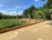 Gia đình cần tiền nên bán gấp lô 130m2 full thổ cư giá chỉ 585 triệu tại Điện...