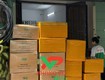 Nhận gửi hàng đi Châu Âu 