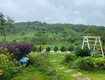 Bán đất khu camping làng omm   bảo lộc, lâm đồng 